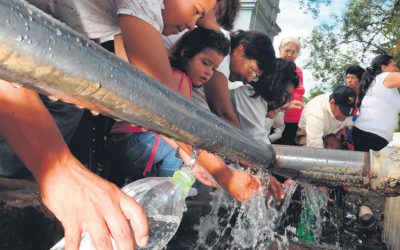 Piojos y Milagros