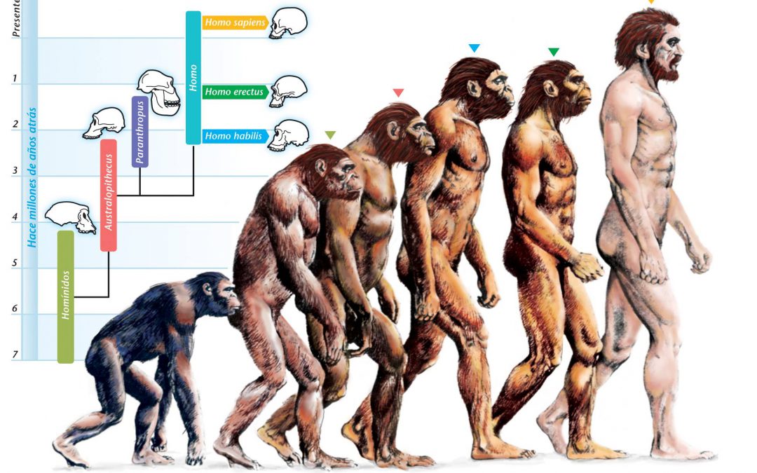 La evolución como un hecho y una teoría